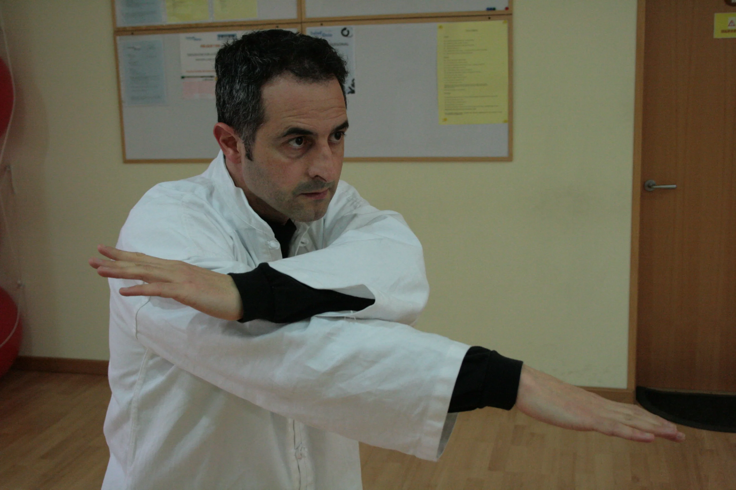 Sifu Jose Luis - Foto 10