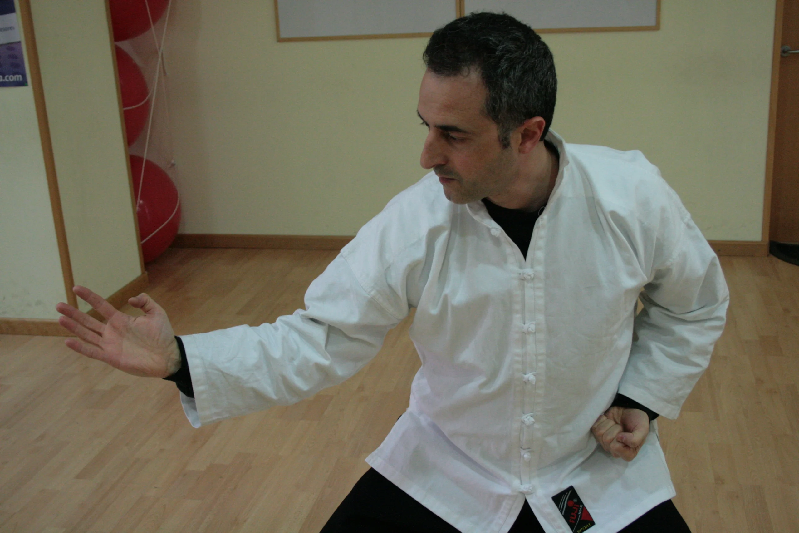 Sifu Jose Luis - Foto 11