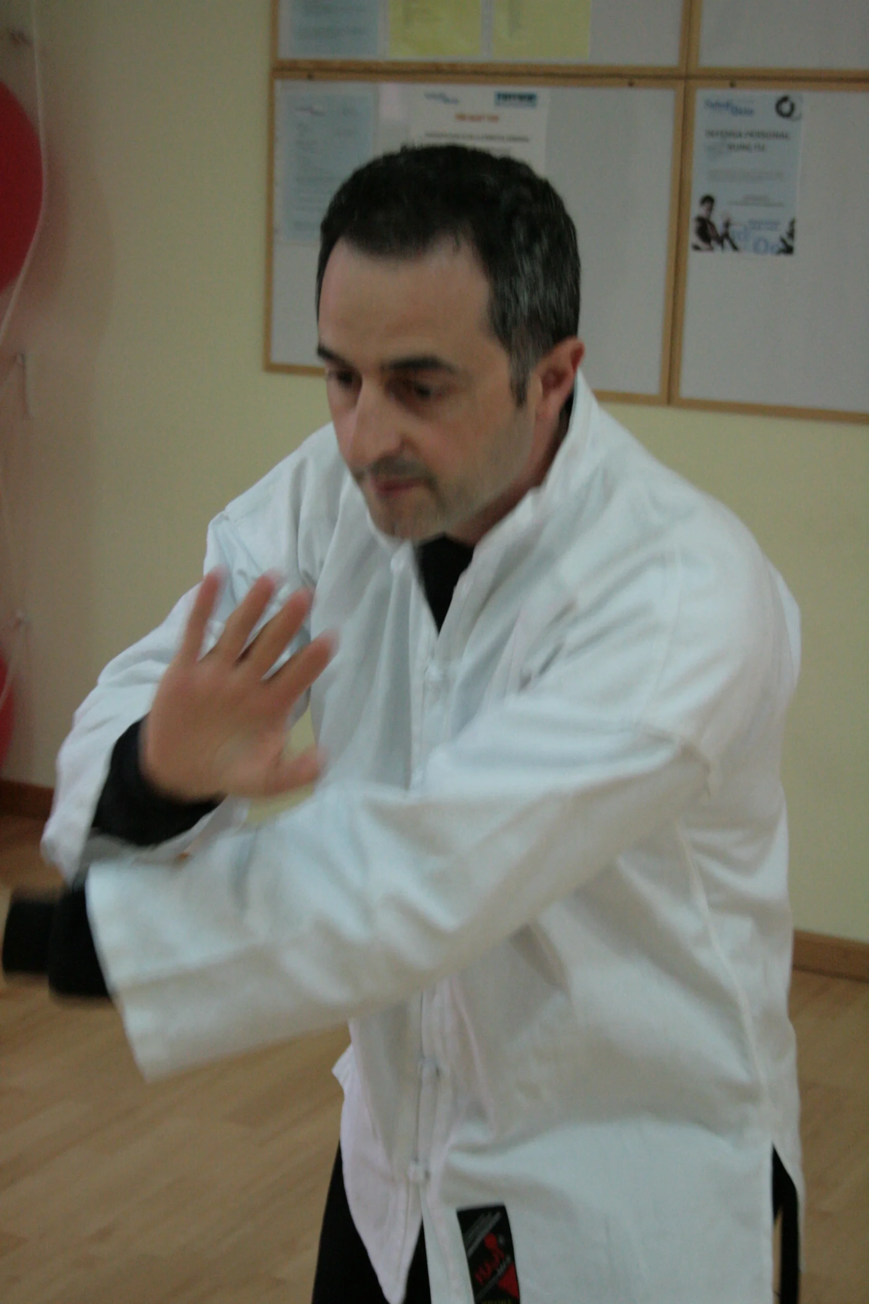 Sifu Jose Luis - Foto 3