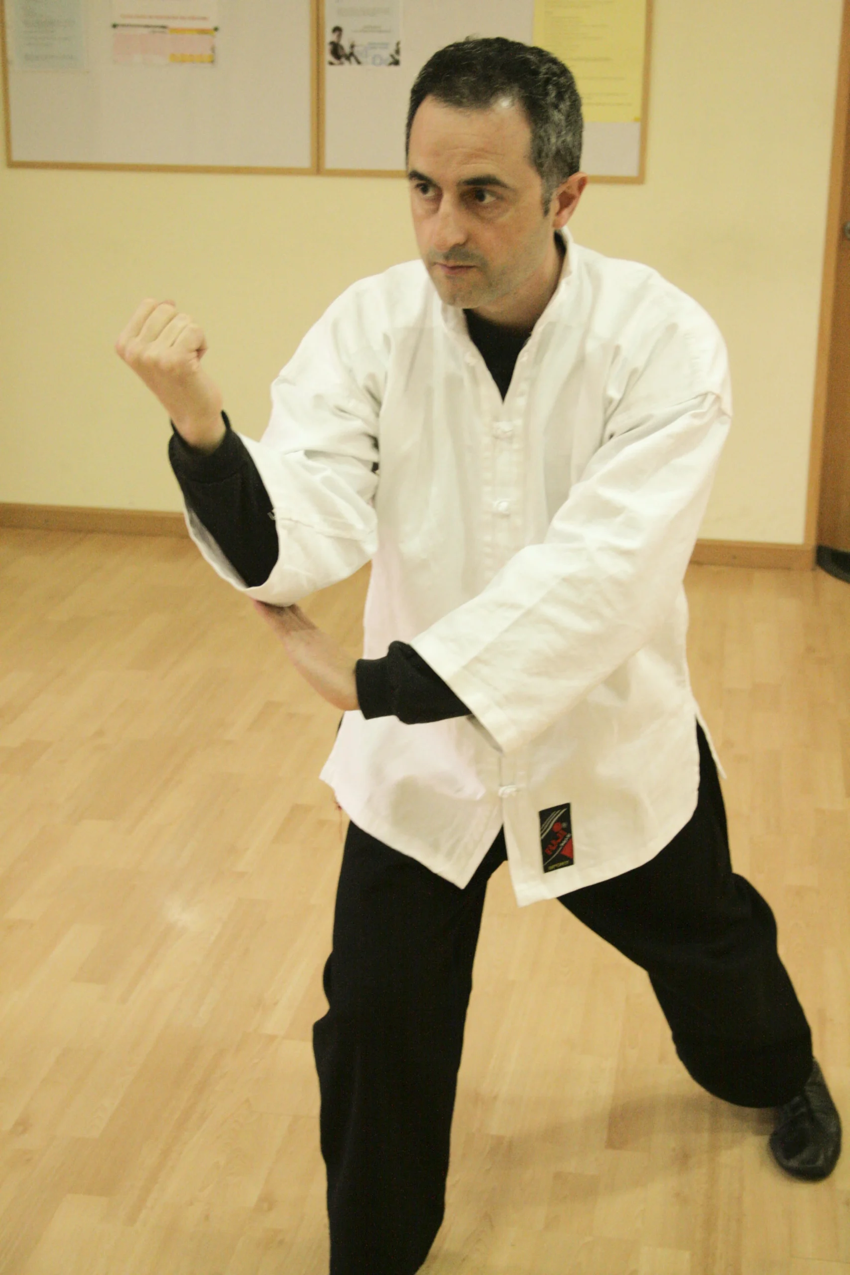 Sifu Jose Luis - Foto 5