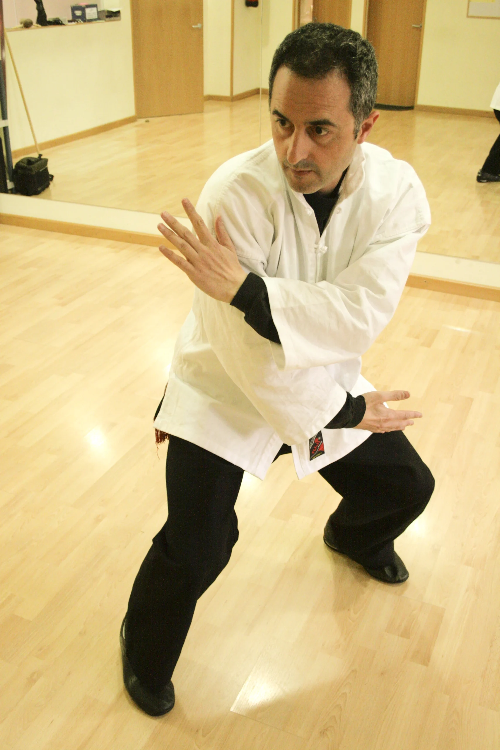 Sifu Jose Luis - Foto 8