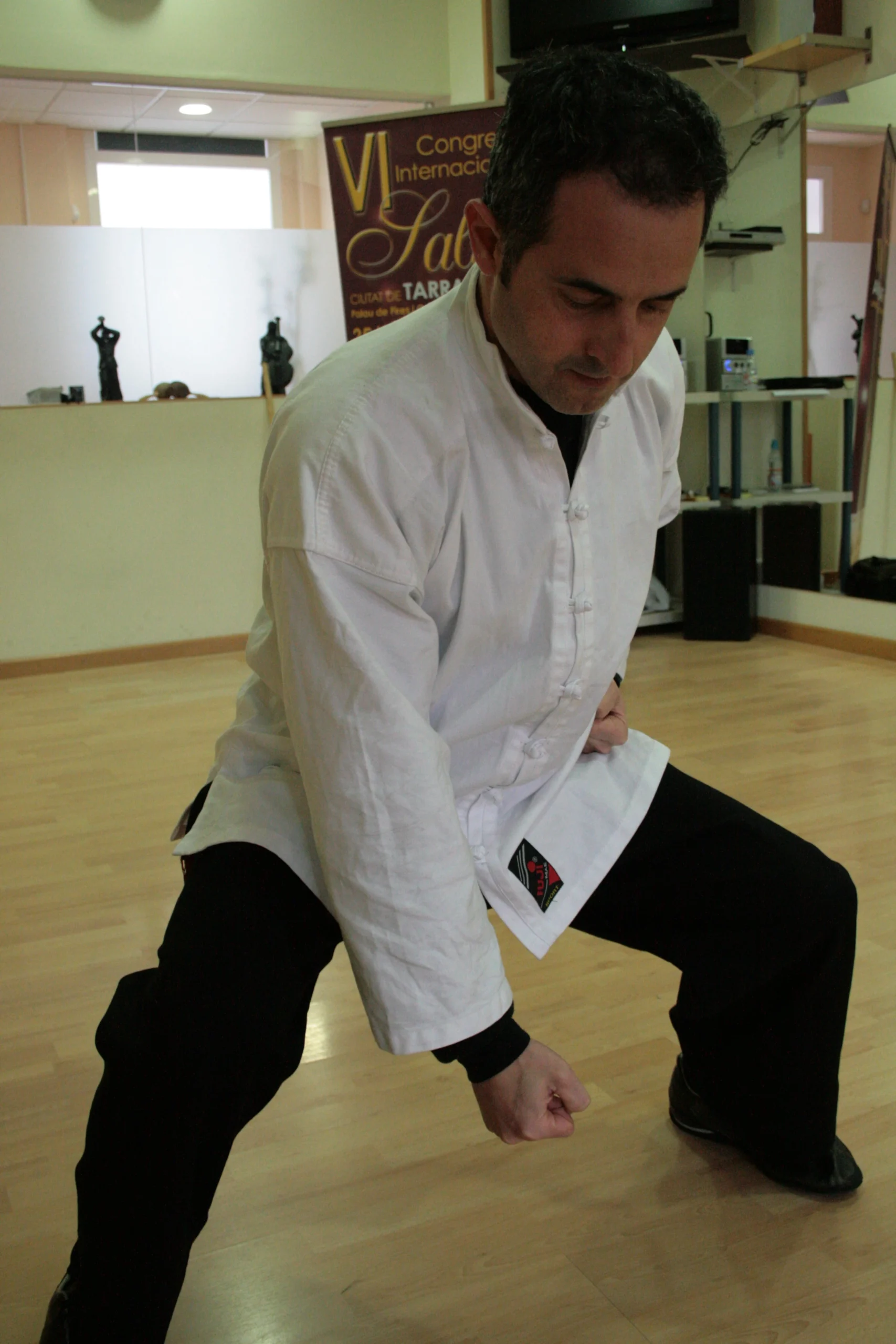 Sifu Jose Luis - Foto 9