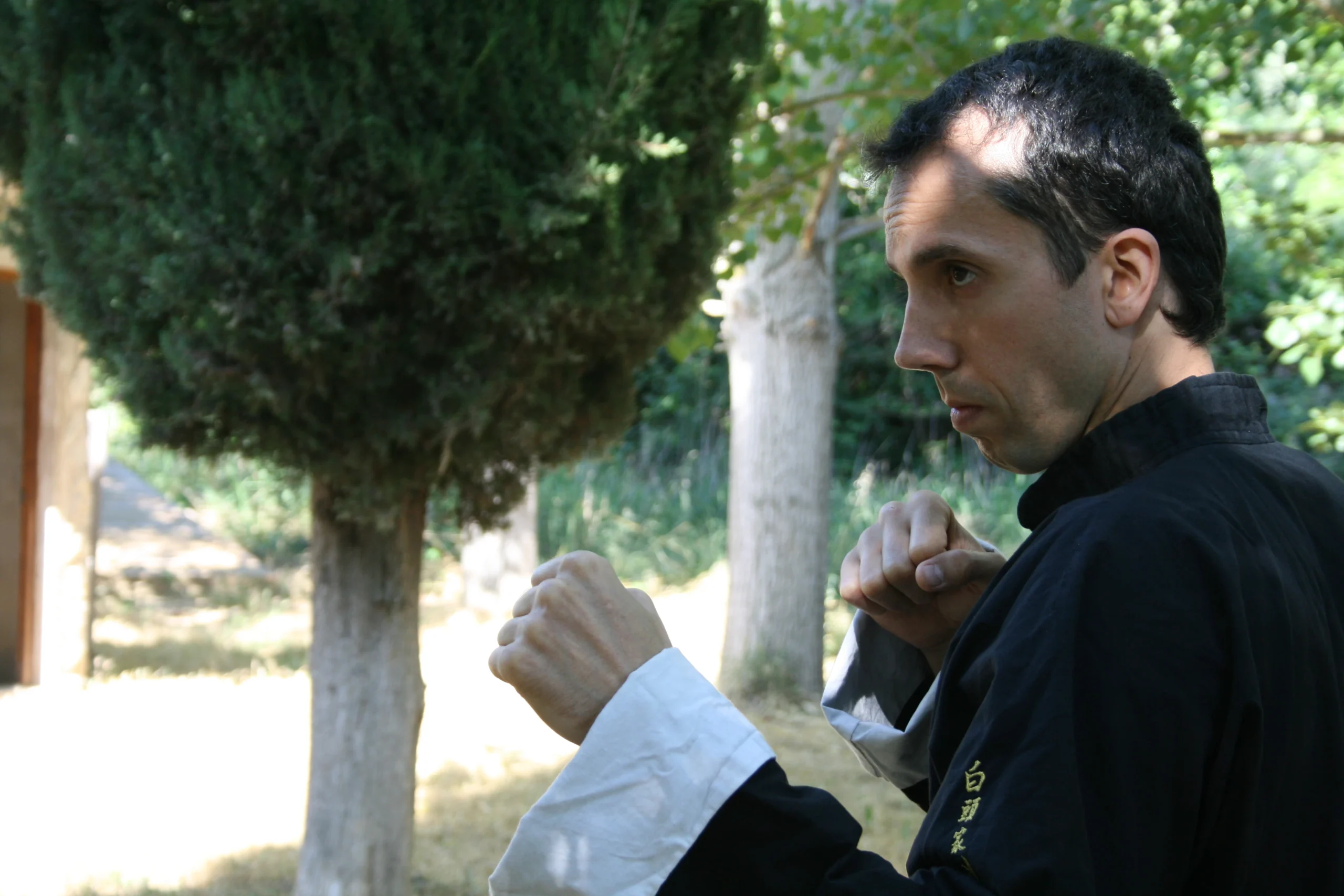 Sifu Julio - Foto 3