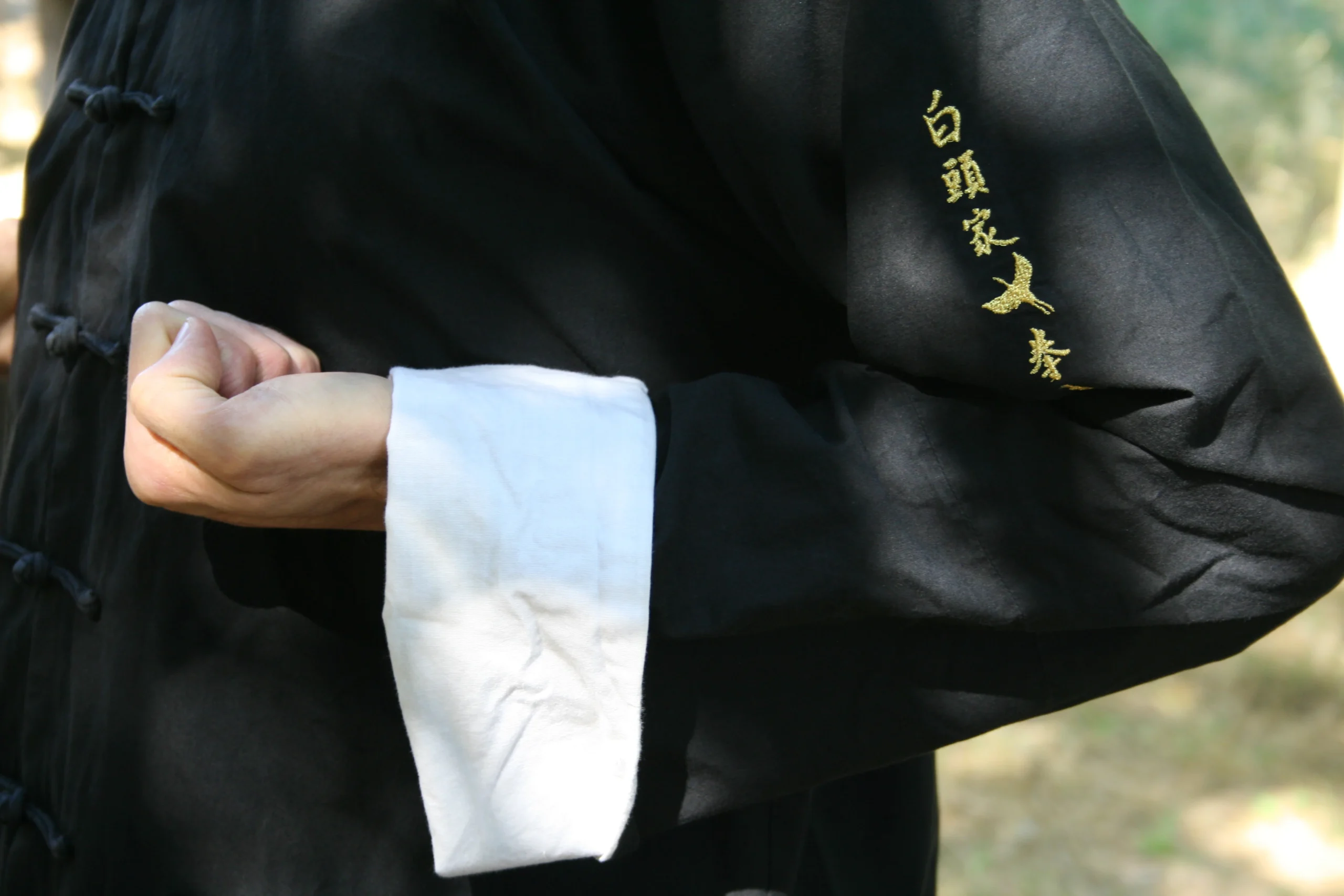 Sifu Julio - Foto 5