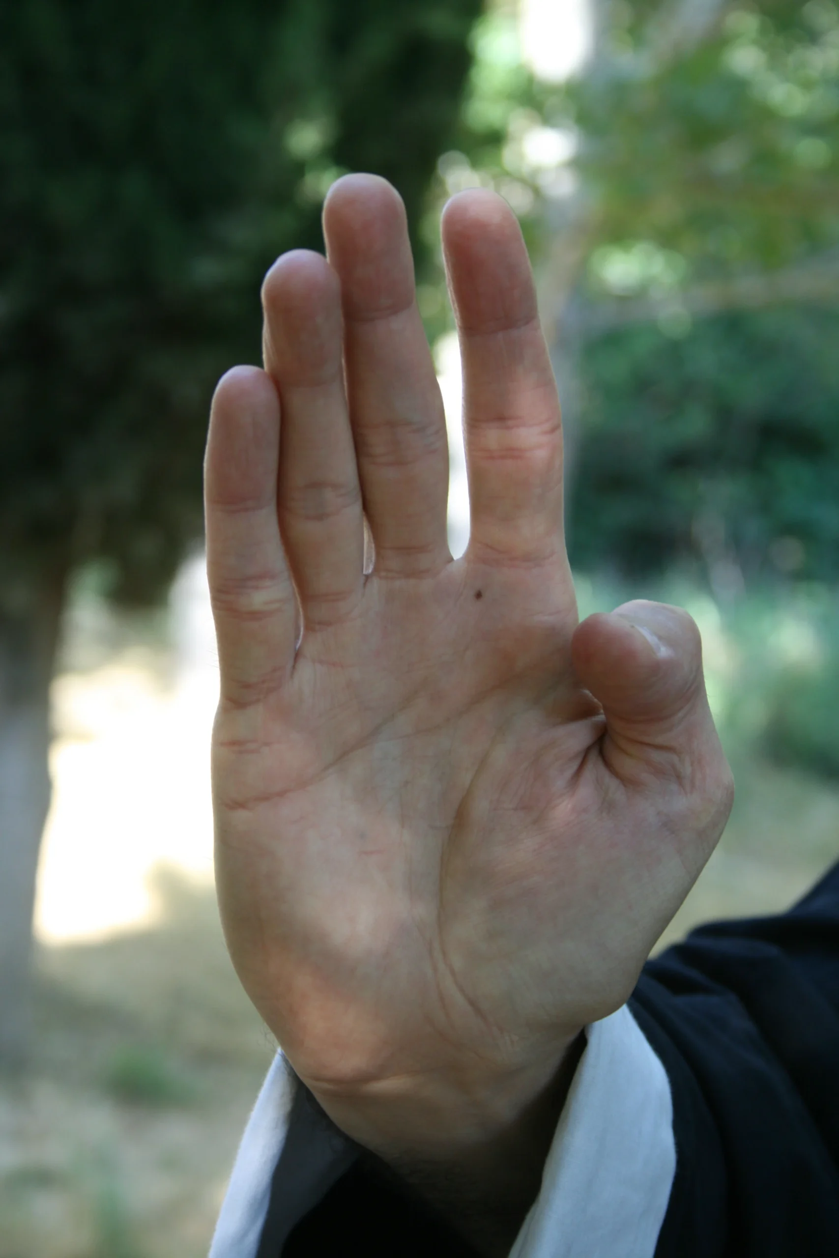 Sifu Julio - Foto 6