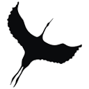 Grulla Marcial