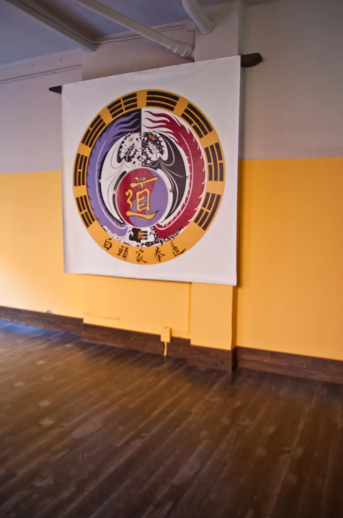 Escuela Artes Marciales en Tarragona (2011) - Foto 29