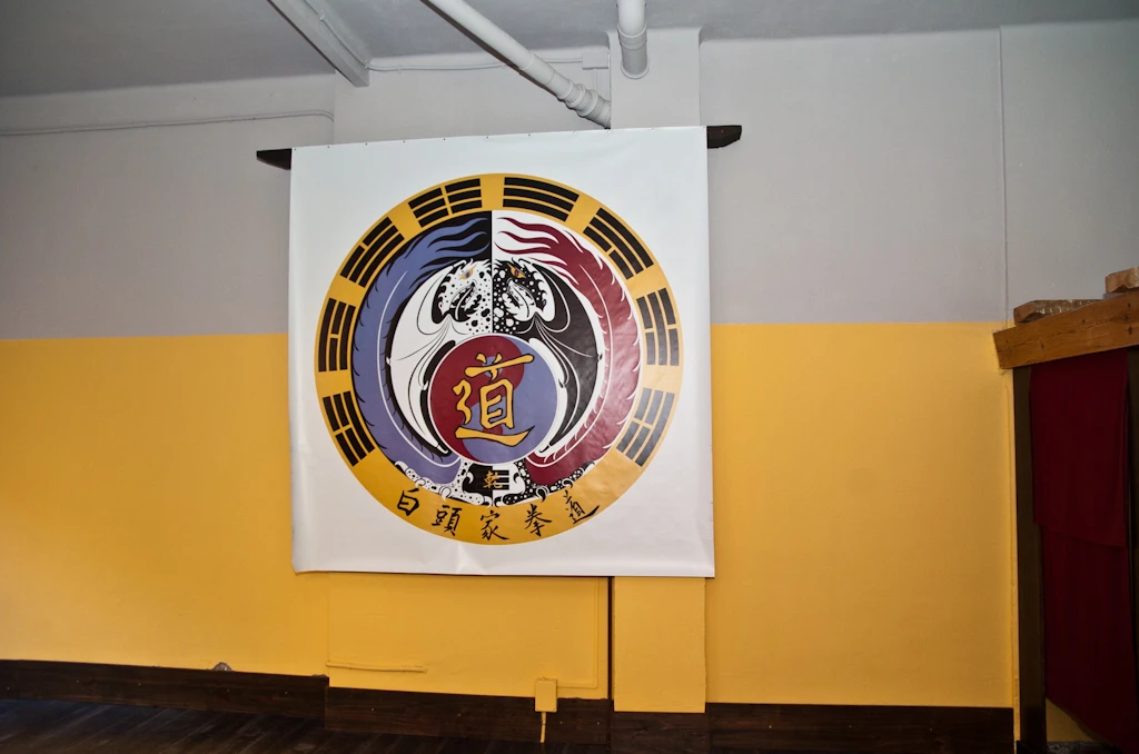 Escuela Artes Marciales en Tarragona (2011) - Foto 4