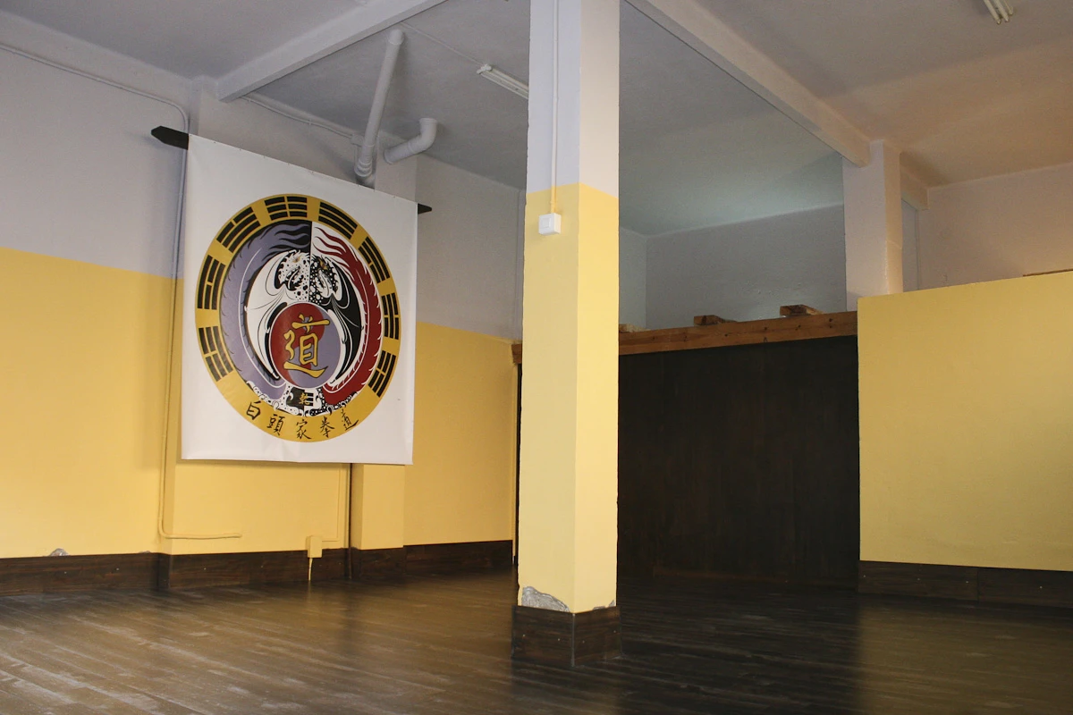 Escuela Artes Marciales en Tarragona (2011) - Foto 42