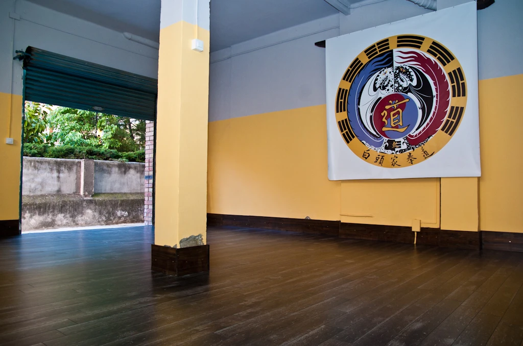 Escuela Artes Marciales en Tarragona (2011) - Foto 7