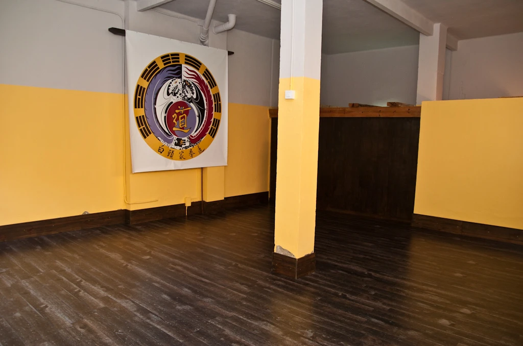 Escuela Artes Marciales en Tarragona (2011) - Foto 9