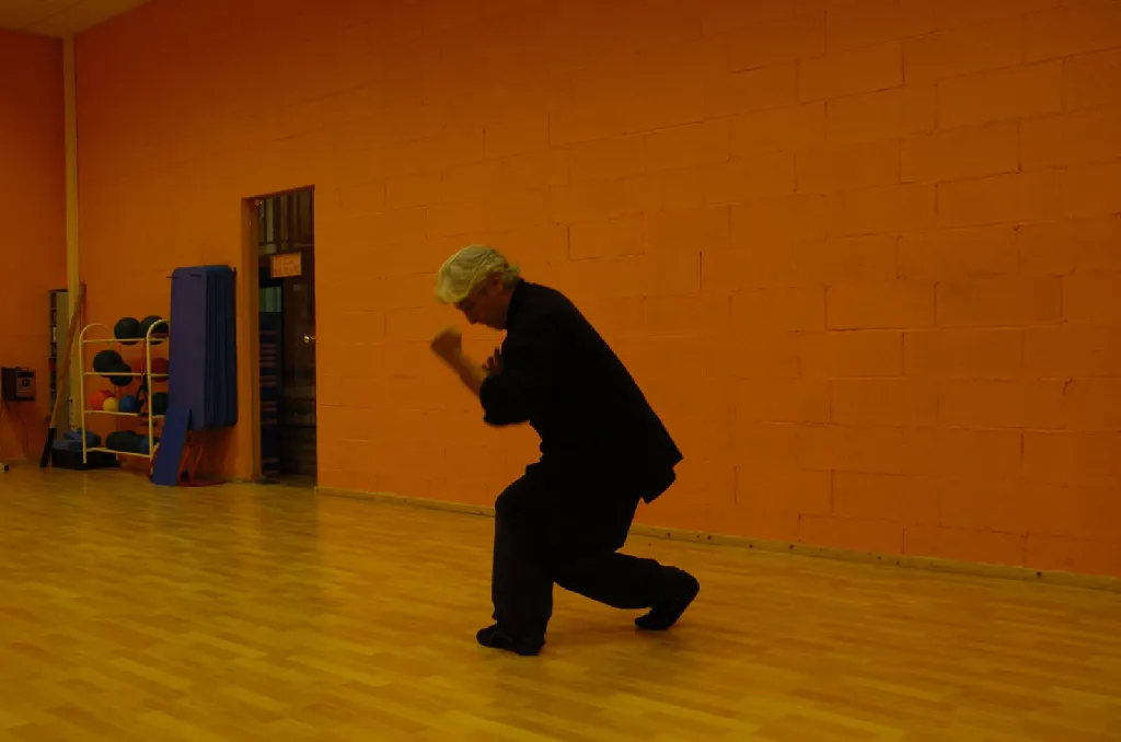 Tai Sifu Eduardo Ojeda - Foto 10