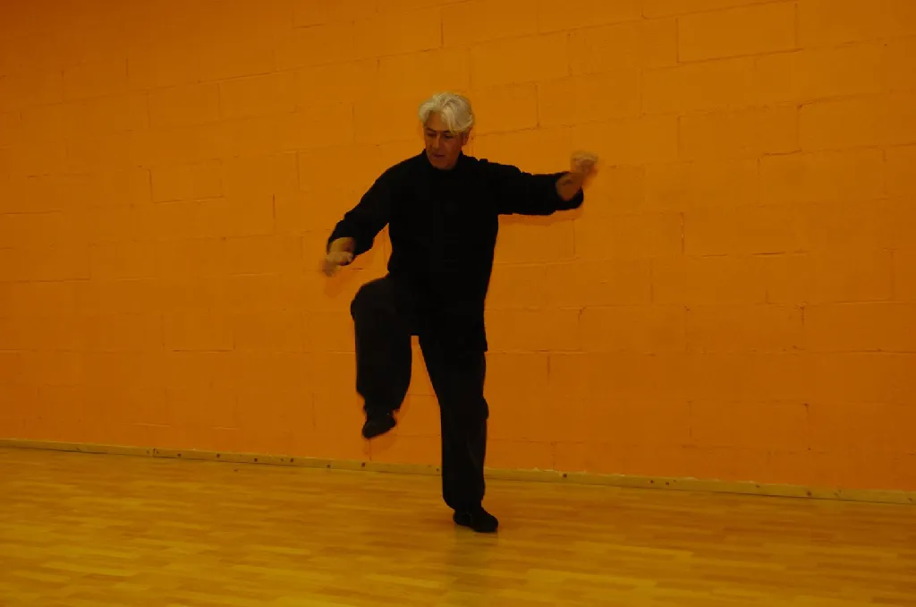 Tai Sifu Eduardo Ojeda - Foto 11
