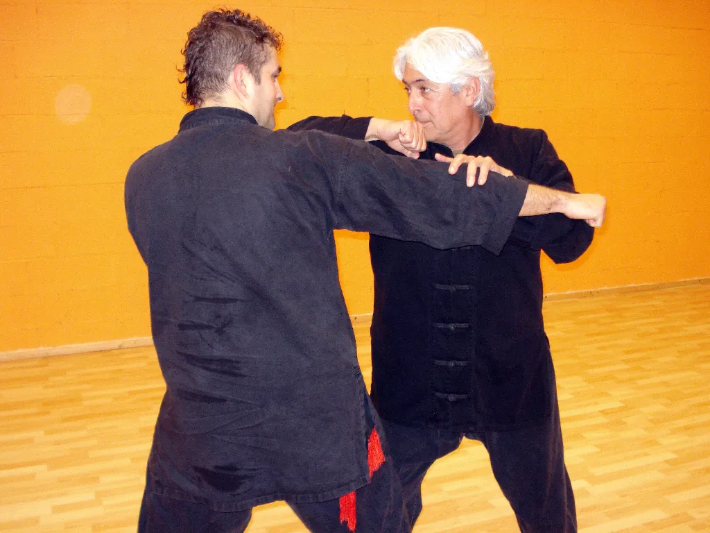 Tai Sifu Eduardo Ojeda - Foto 12