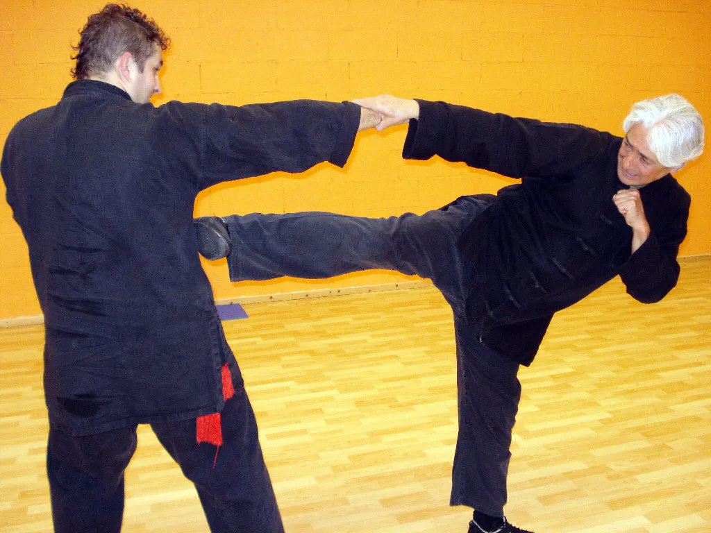 Tai Sifu Eduardo Ojeda - Foto 13