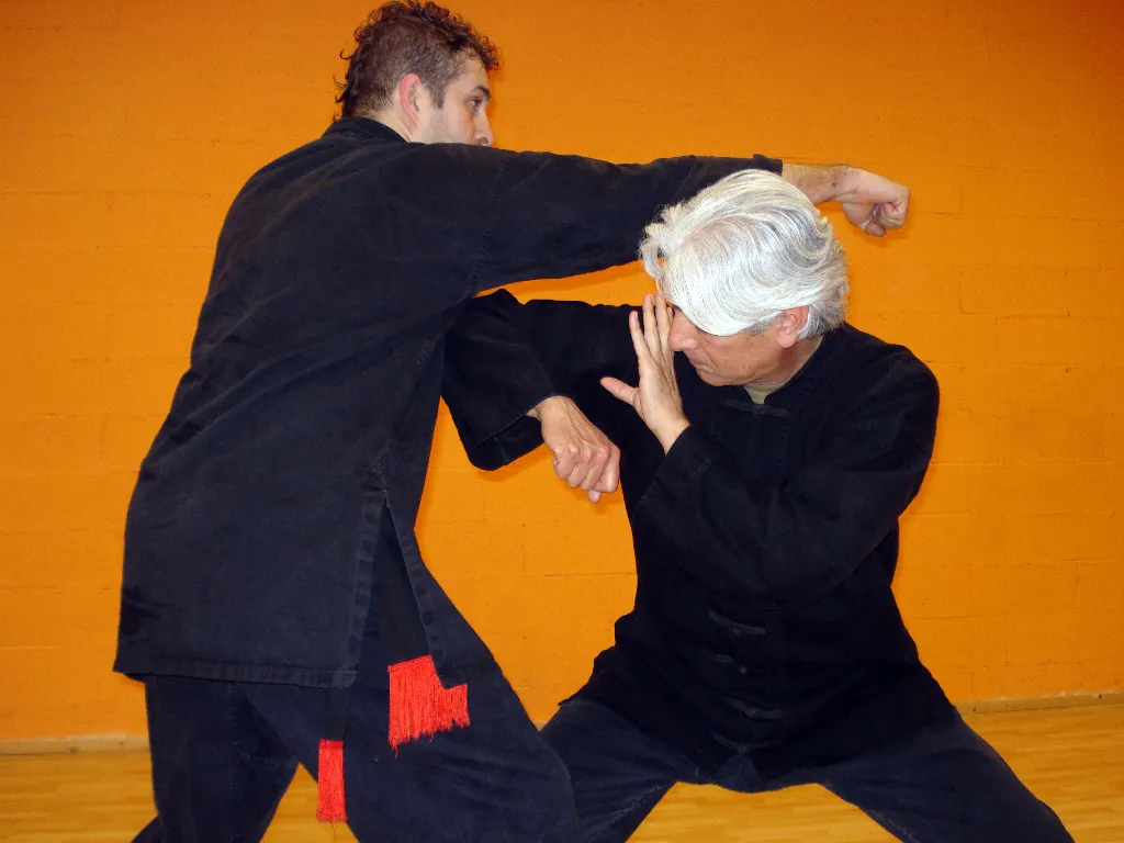 Tai Sifu Eduardo Ojeda - Foto 14
