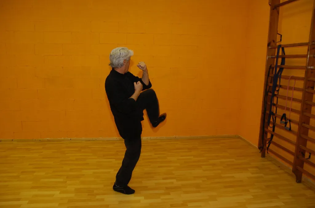 Tai Sifu Eduardo Ojeda - Foto 5