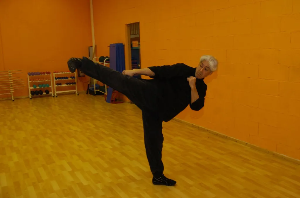 Tai Sifu Eduardo Ojeda - Foto 6