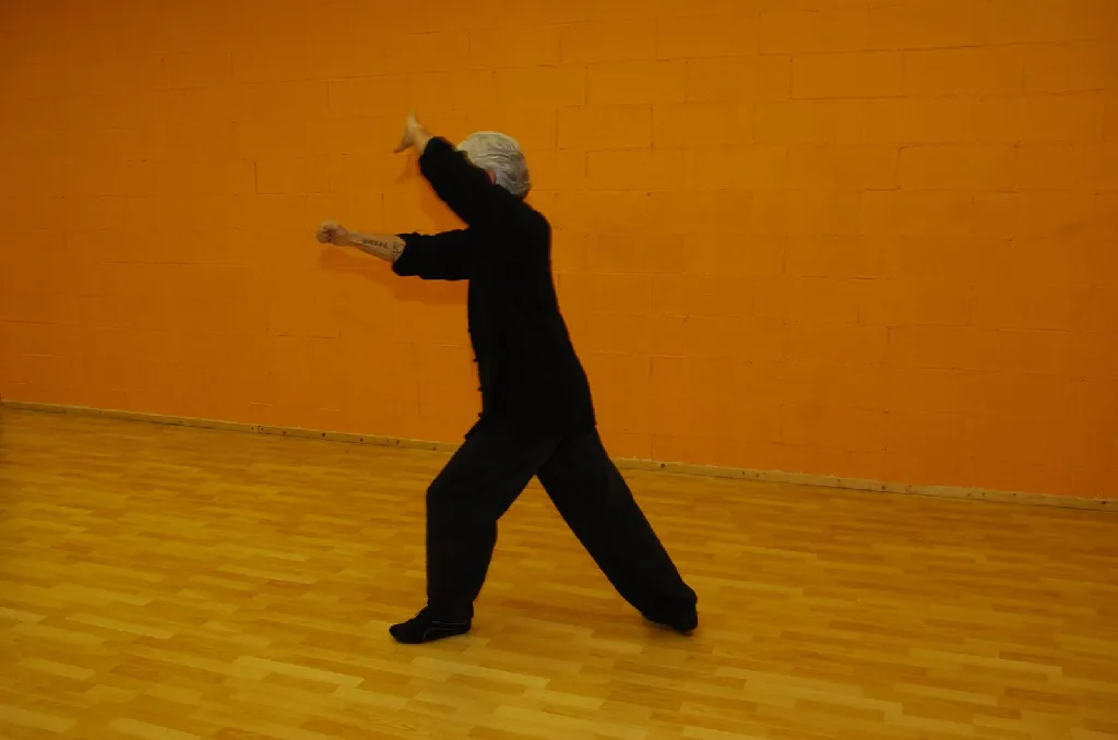 Tai Sifu Eduardo Ojeda - Foto 8