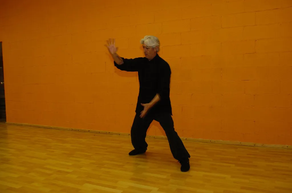 Tai Sifu Eduardo Ojeda - Foto 9